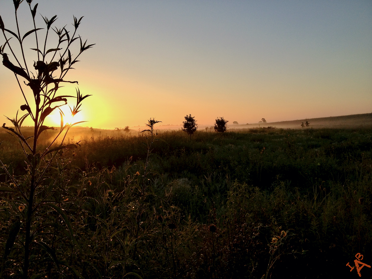 Dewey Sunrise