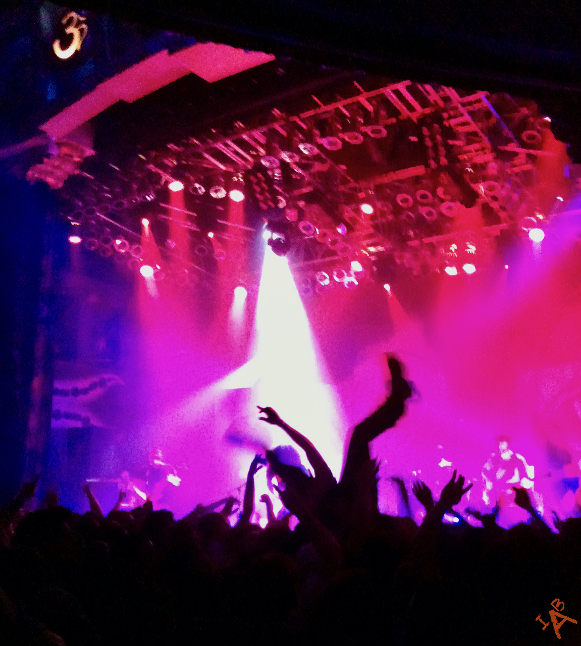 A person crowdsurfing at a concert.