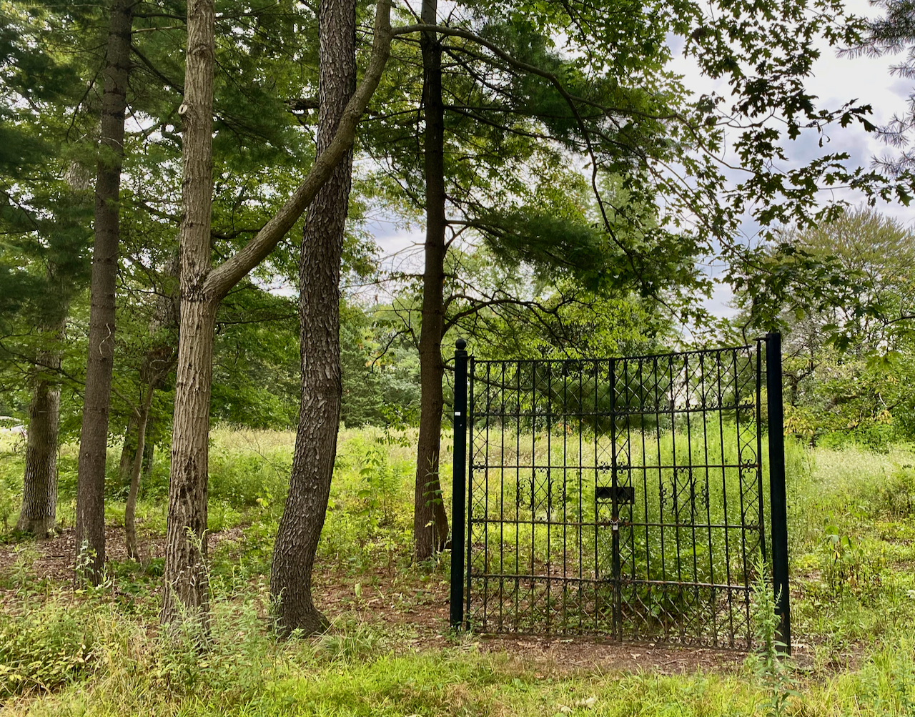 An old gate in the middle of a field but it doesn't secure anything.