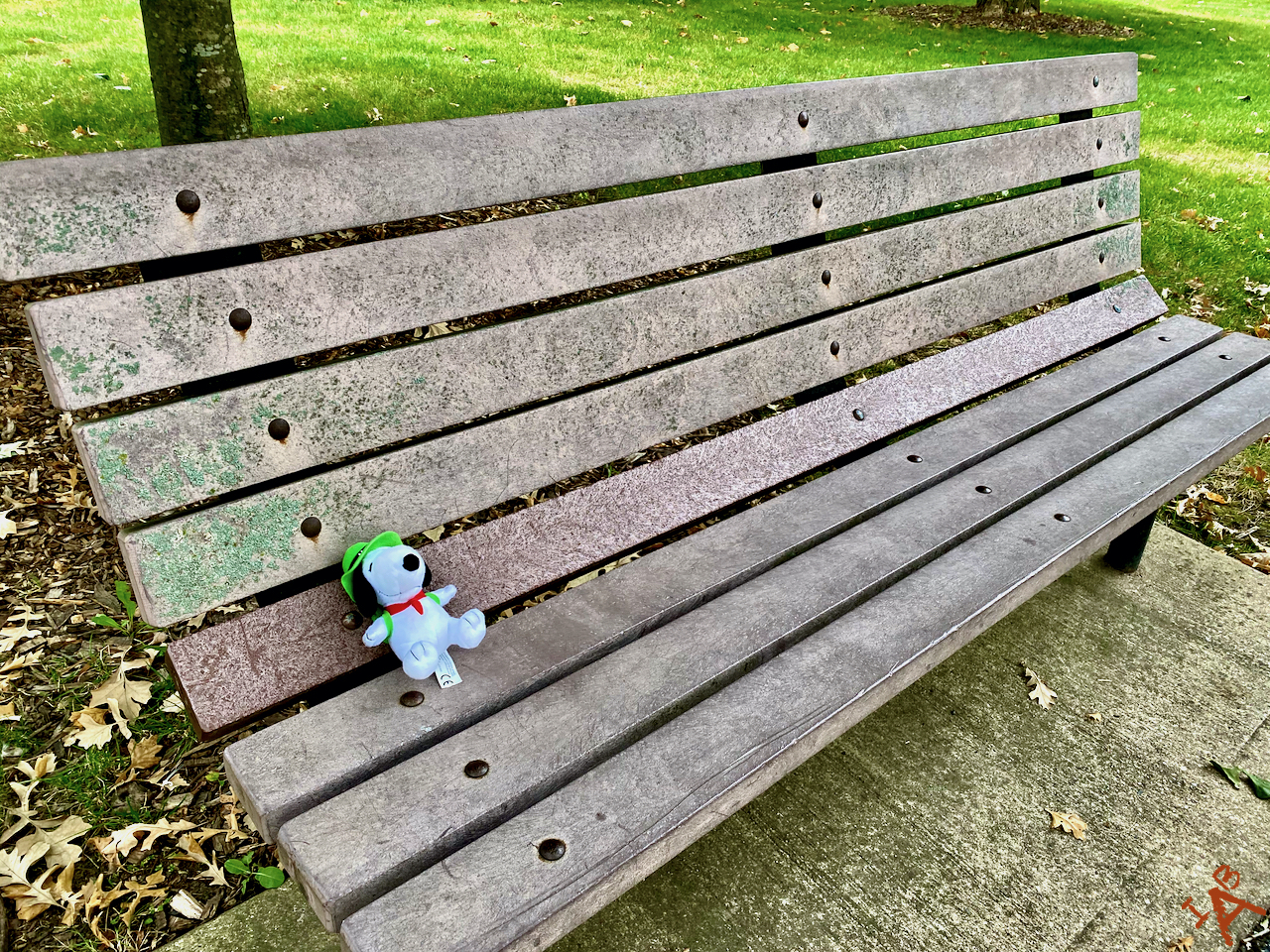 A Snoopy plush toy sits all alone on a park bench.
