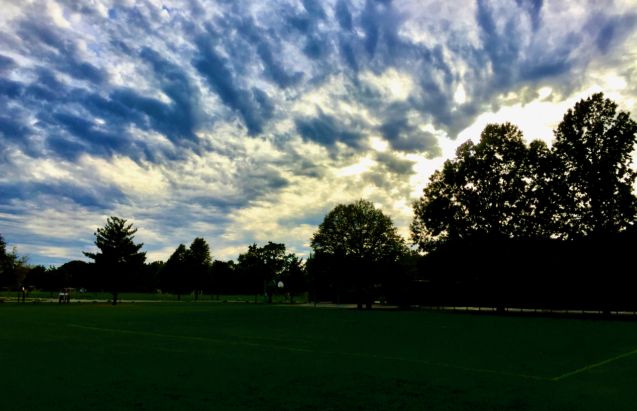 Clouds frame the trees in a picture of dusk.