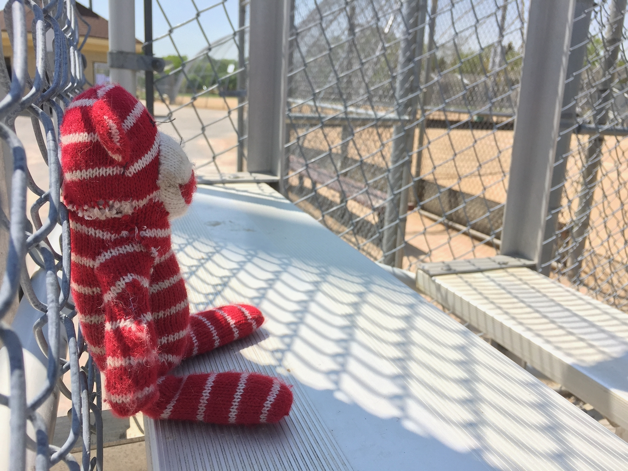 A little stuffed monkey sitting on a bench in the dugout of a ballfield.