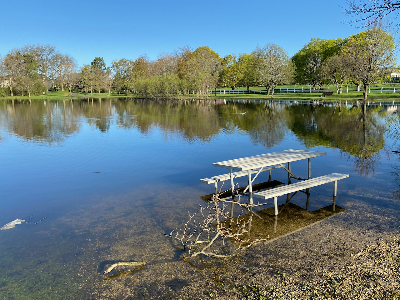 A picnic table sits in water at the edge of a pond.