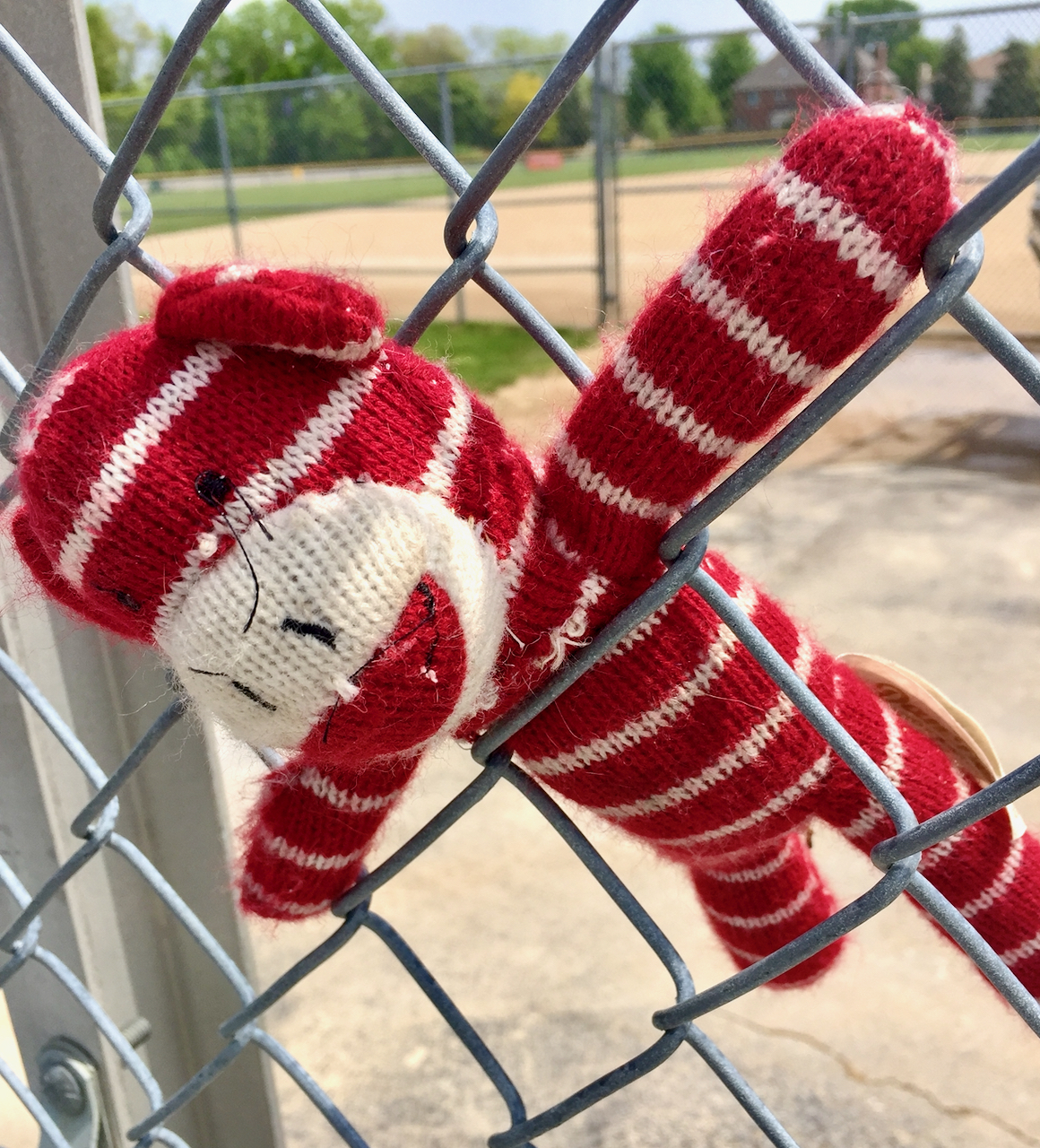 A stuffed animal caught in a fence.