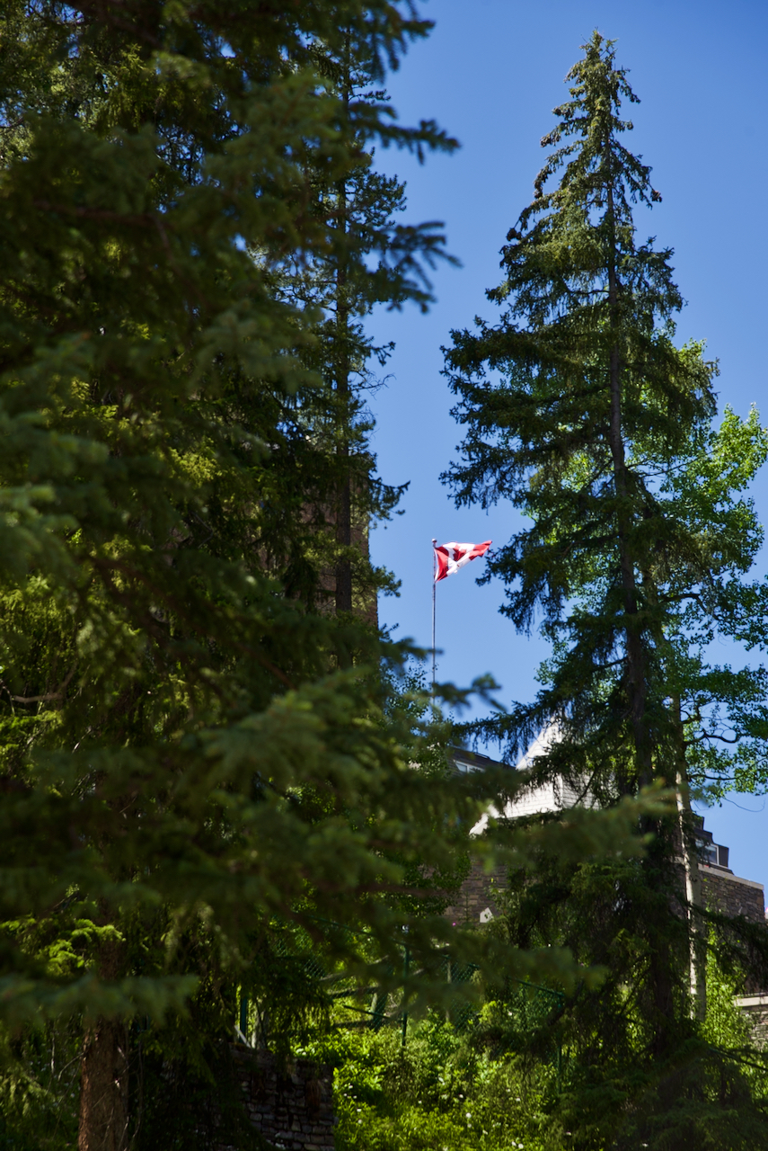 A Canadian flag between two trees.