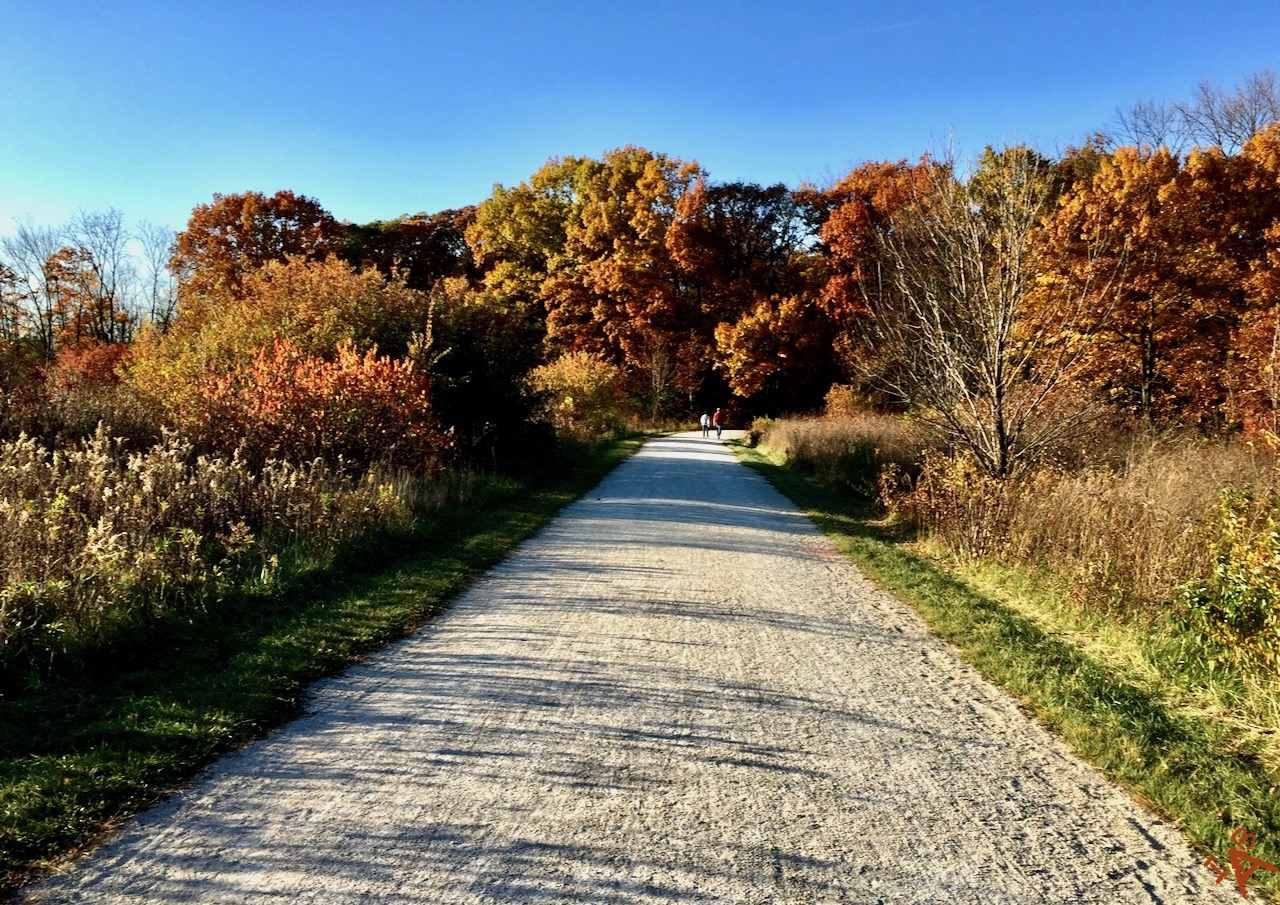 Colorful Path