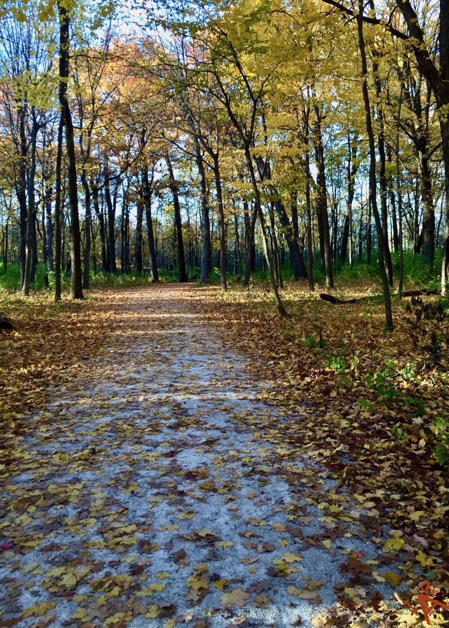 Covered Path