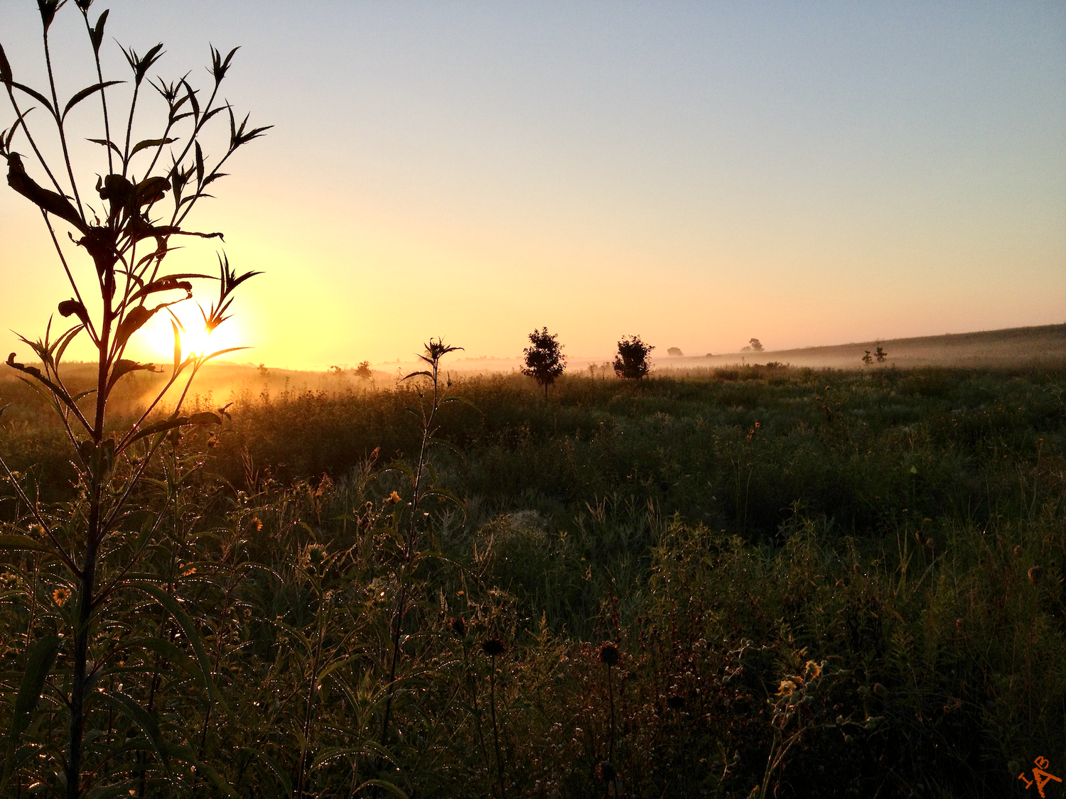 Dewey Sunrise