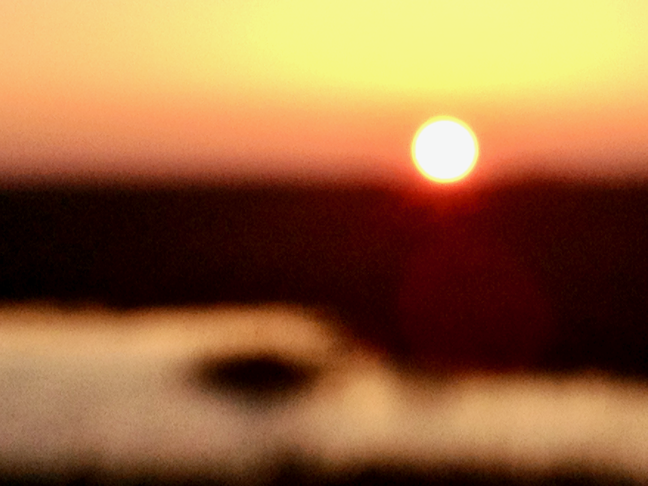 Out of Focus Morning