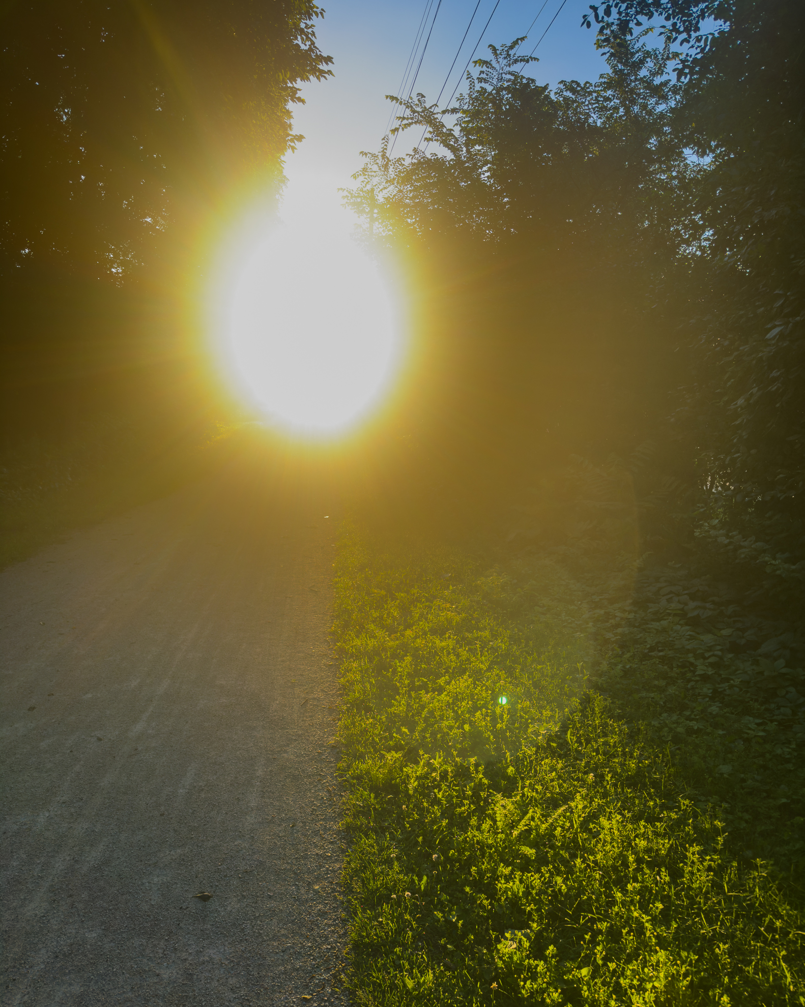 Walk Towards the Light