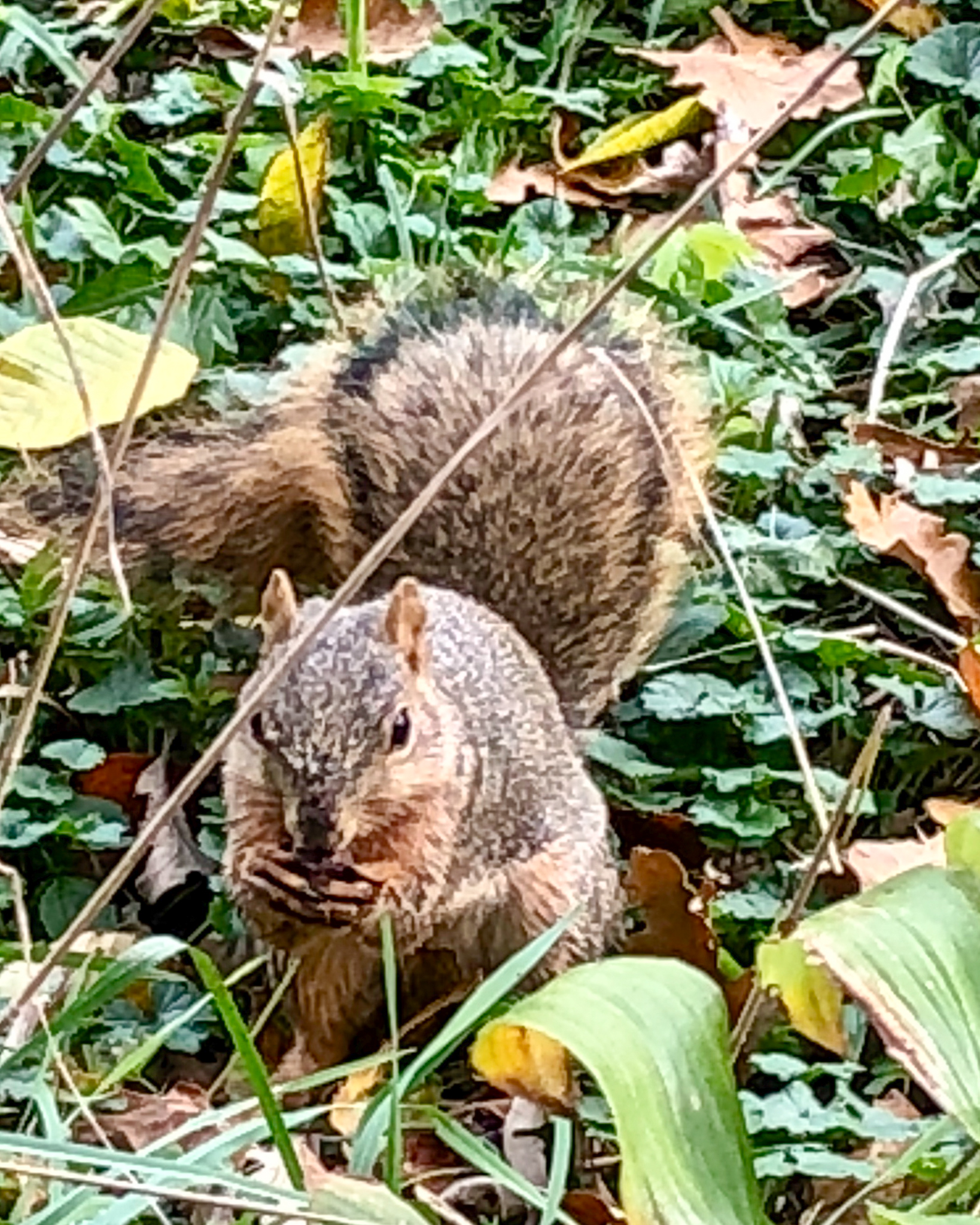 Snack Time