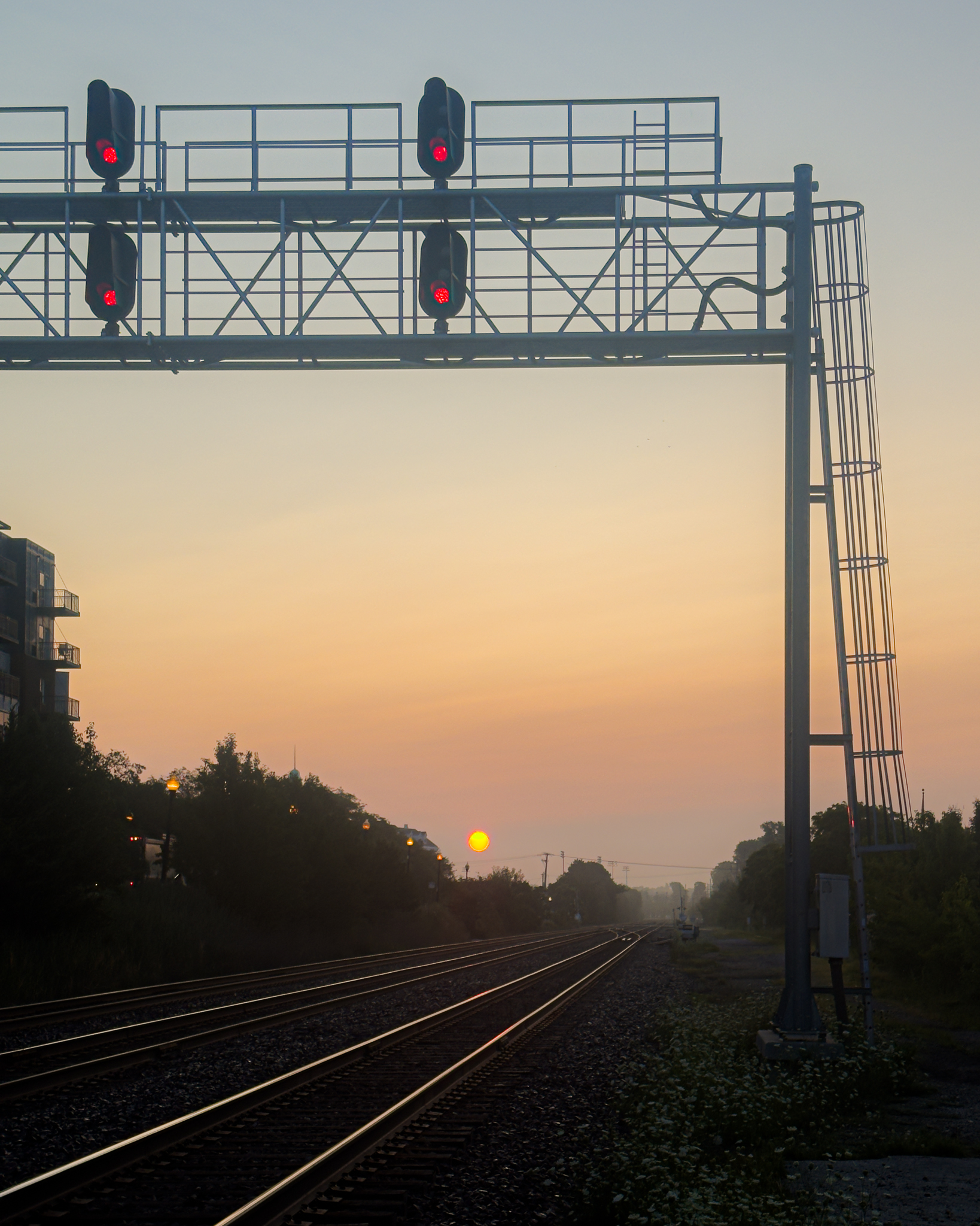 No Stopping the Morning